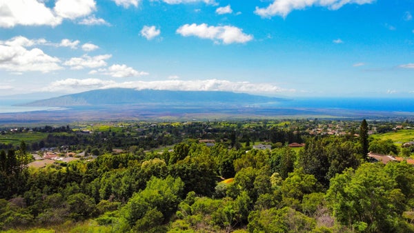 MALANANI DR, KULA, HI 96790 - Image 7c1aa7e8414cc6b722c3c8a797f5aeff/204970890
