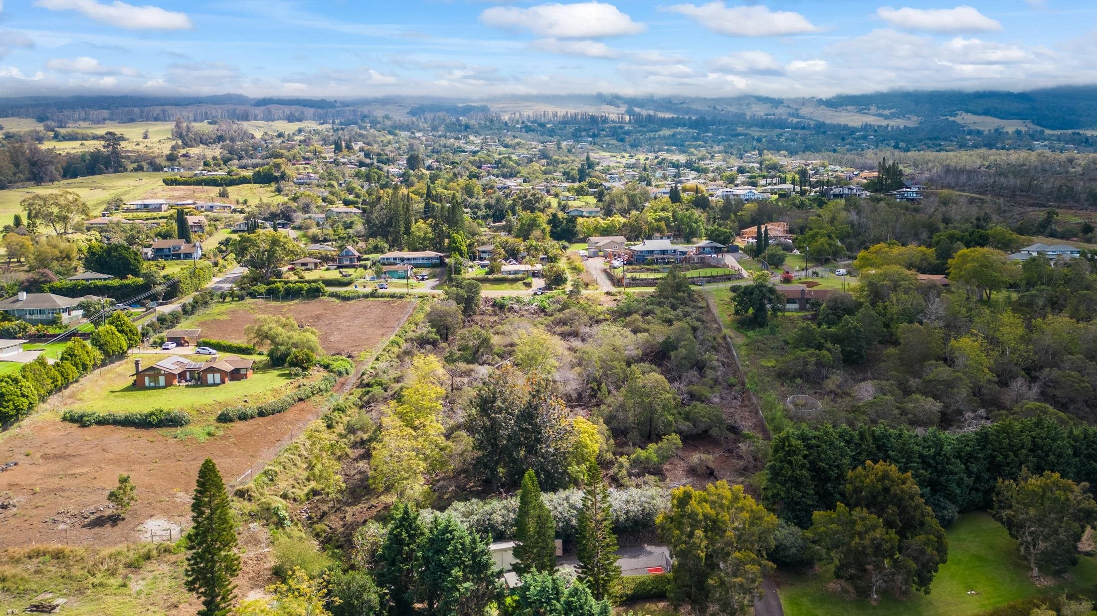 Malanani Dr