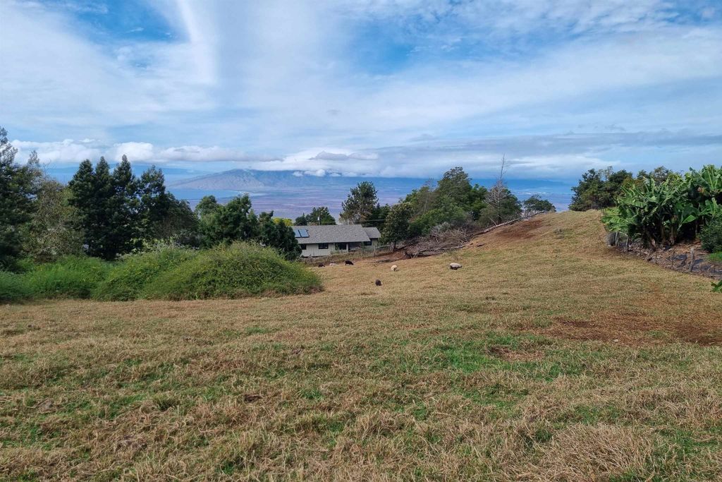 Photo of 850 Kekaulike Ave #Unit B, Kula, HI 96790 (MLS # 407456)