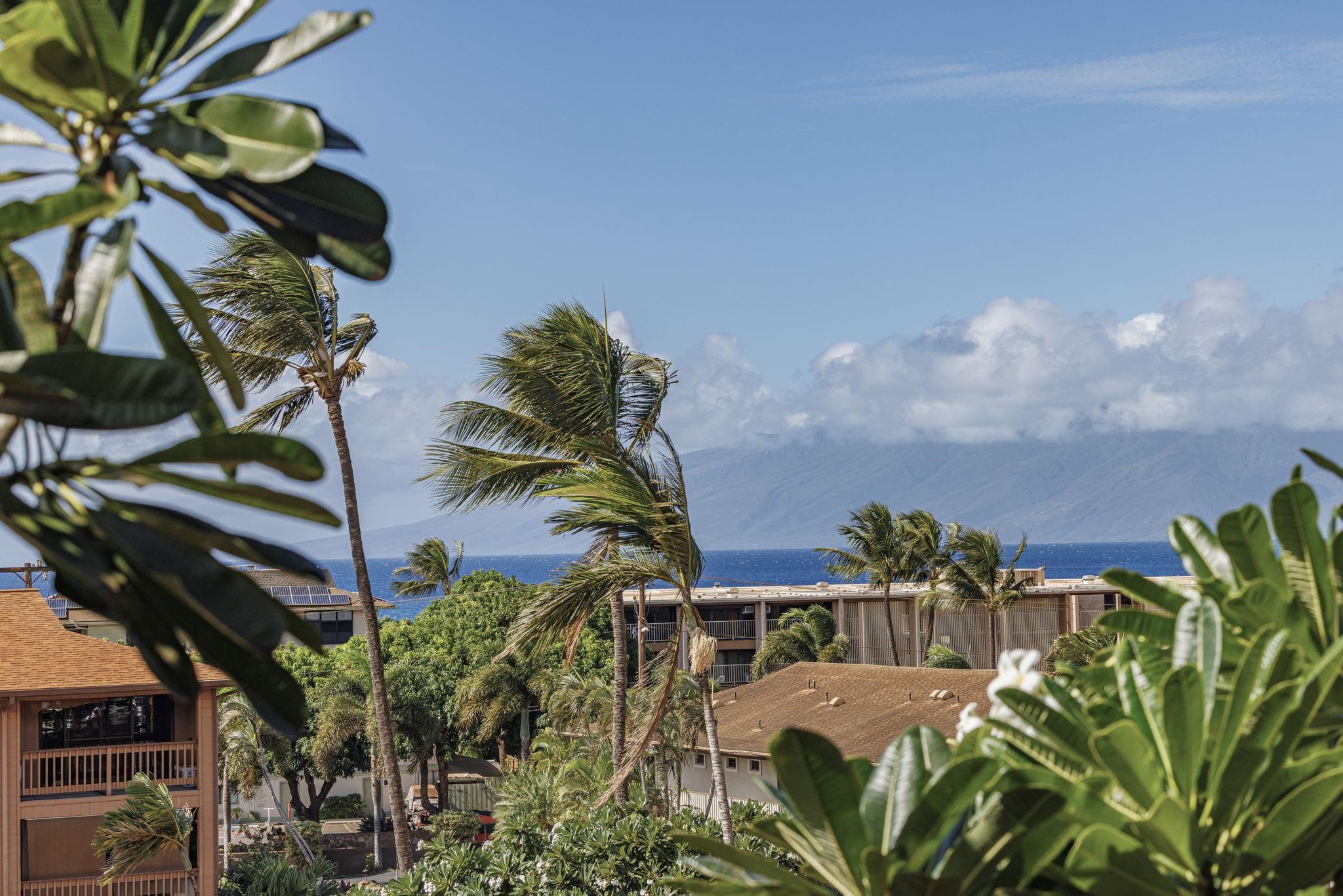 3740 Lower Honoapiilani Rd C-205