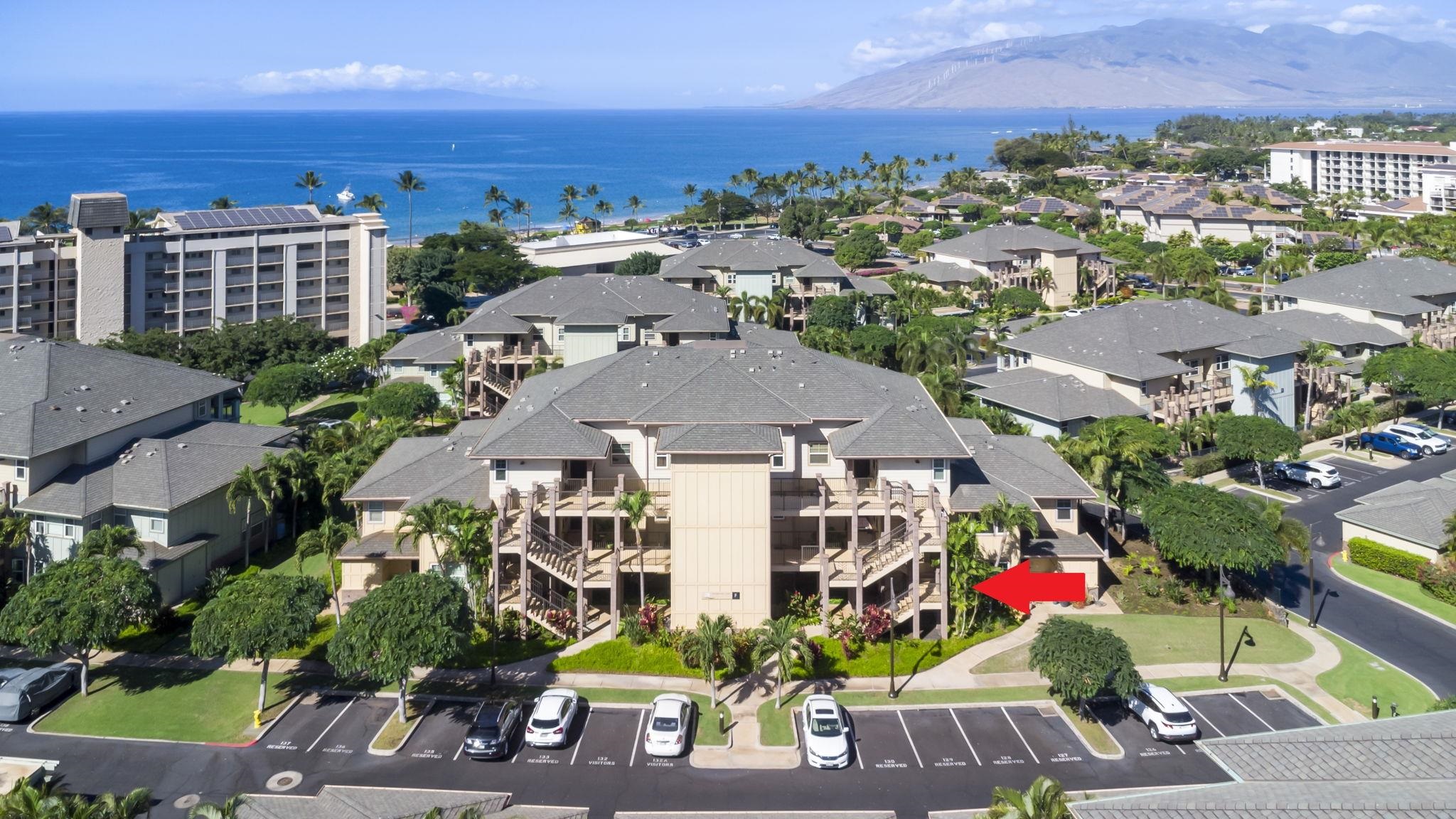 28 Hauwahine St F104