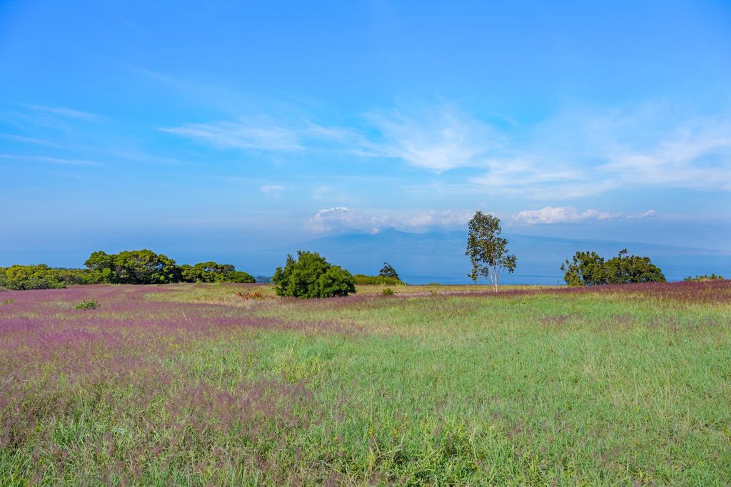 Photo of 238 Keoawa St #Lot 21, Lahaina, HI 96761 (MLS # 408074)