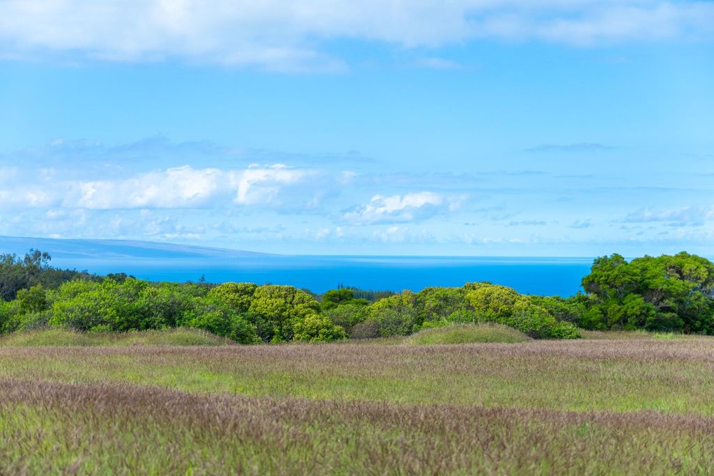 Photo of 238 Keoawa St #Lot 21, Lahaina, HI 96761 (MLS # 408074)