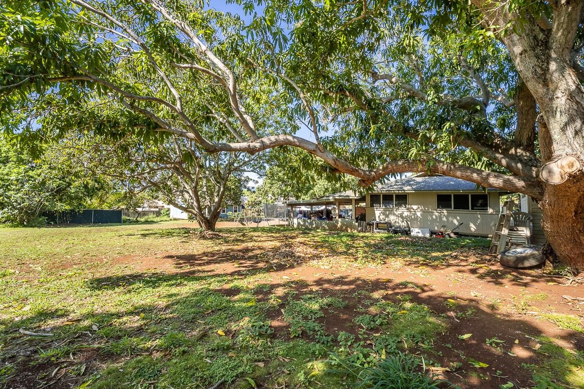 168 Hana Hwy