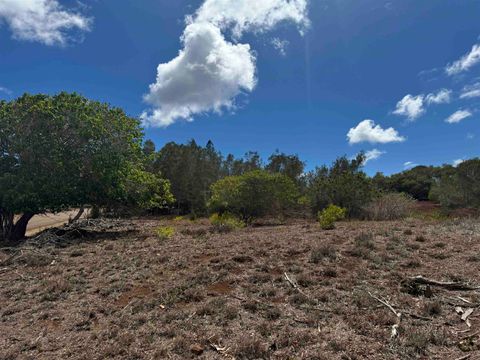 Tiny photo for Kaana St #499, Maunaloa, HI 96770 (MLS # 407347)