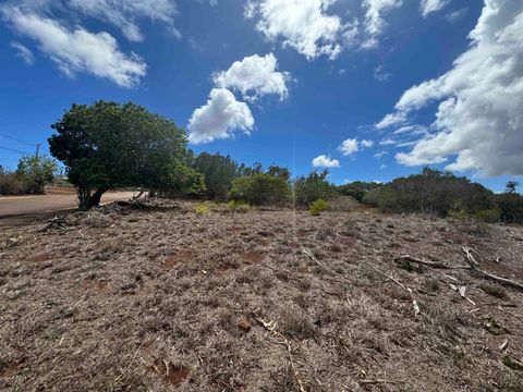 Tiny photo for Kaana St #499, Maunaloa, HI 96770 (MLS # 407347)