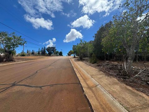 Tiny photo for Kaana St #499, Maunaloa, HI 96770 (MLS # 407347)