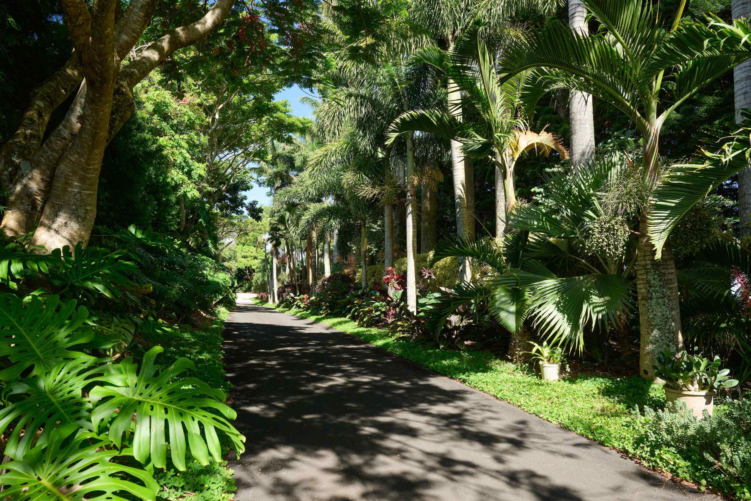 1642 W Kuiaha Rd