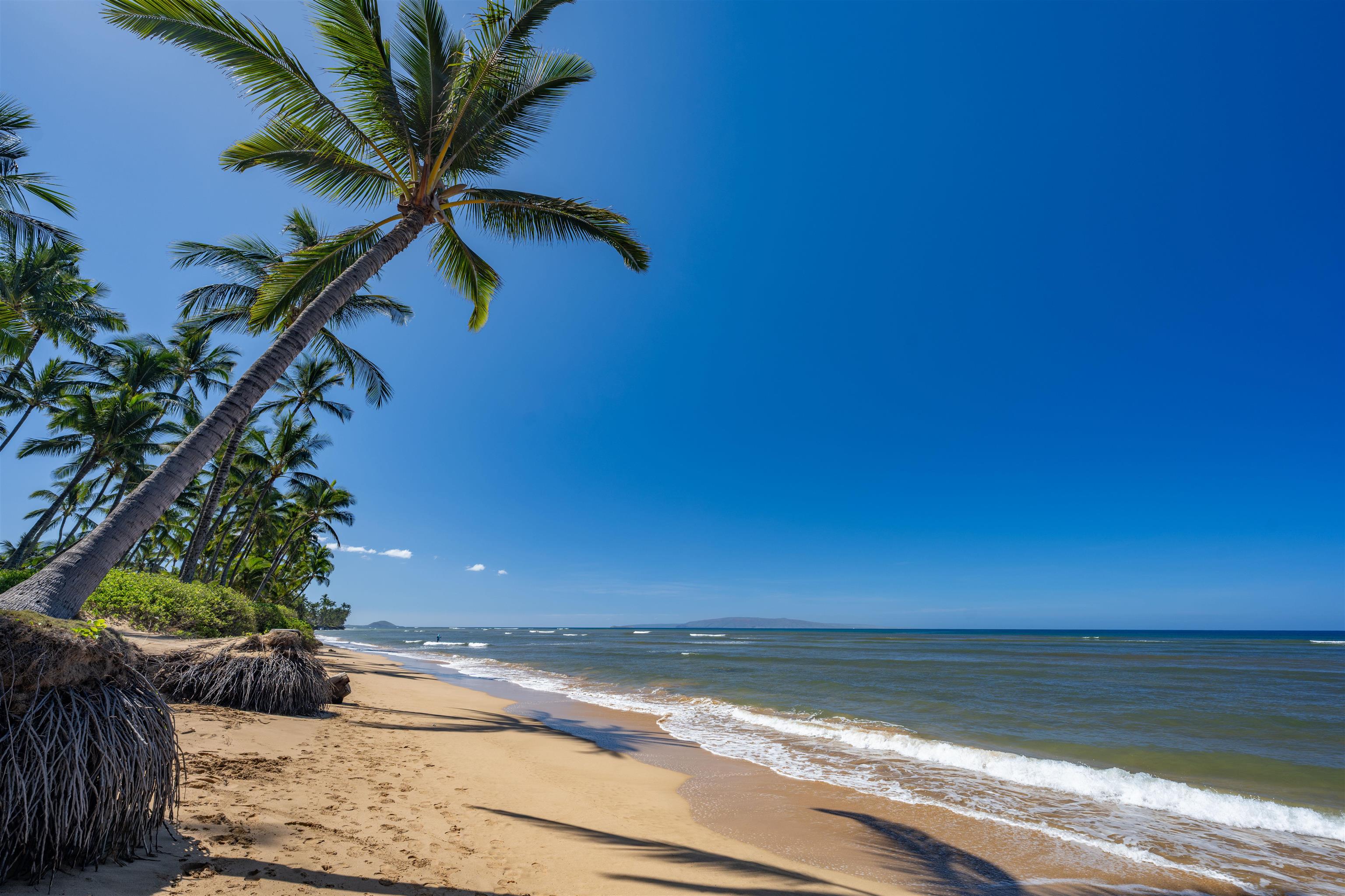 1450 S Kihei Rd E-106