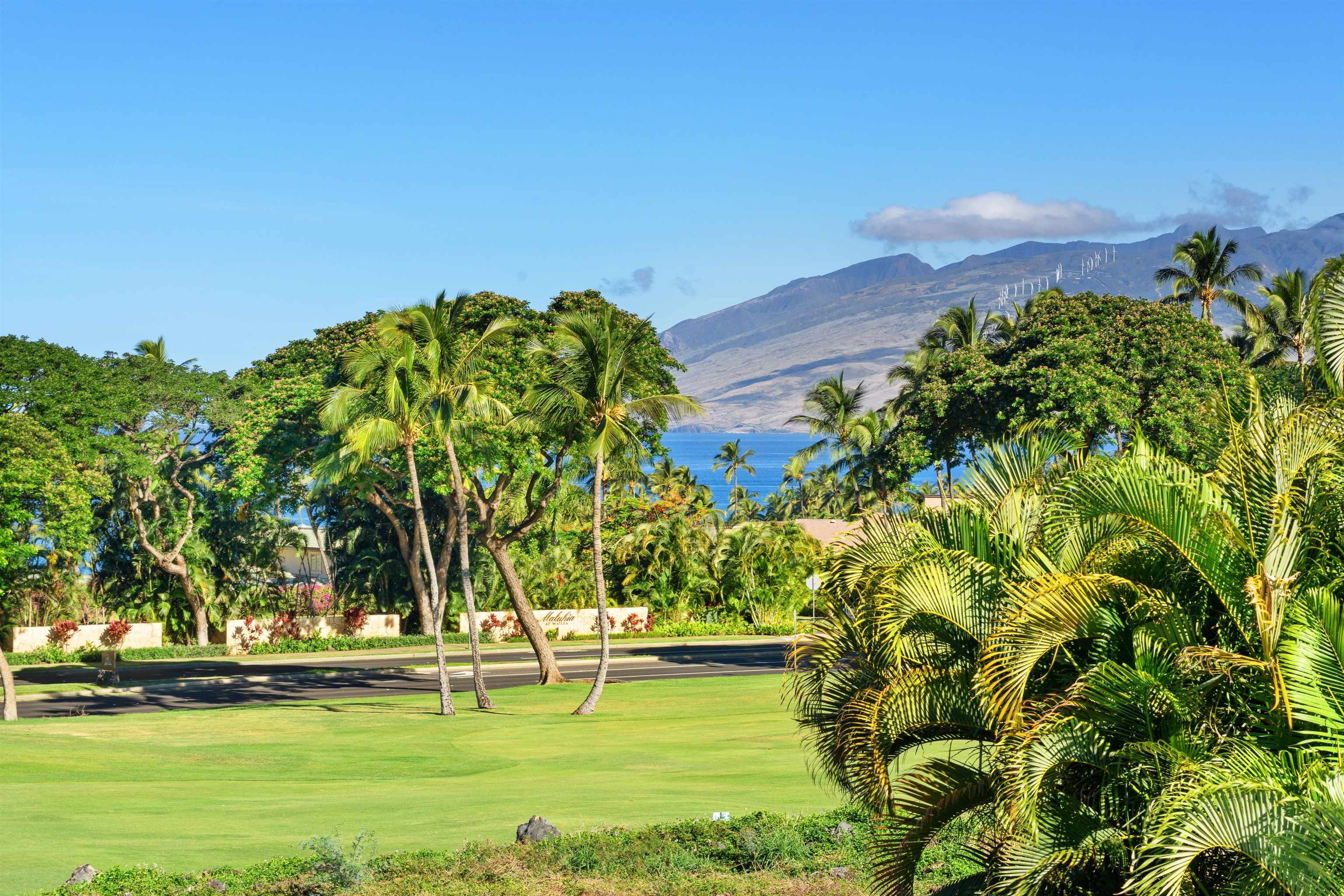 85 Hale Alii Pl
