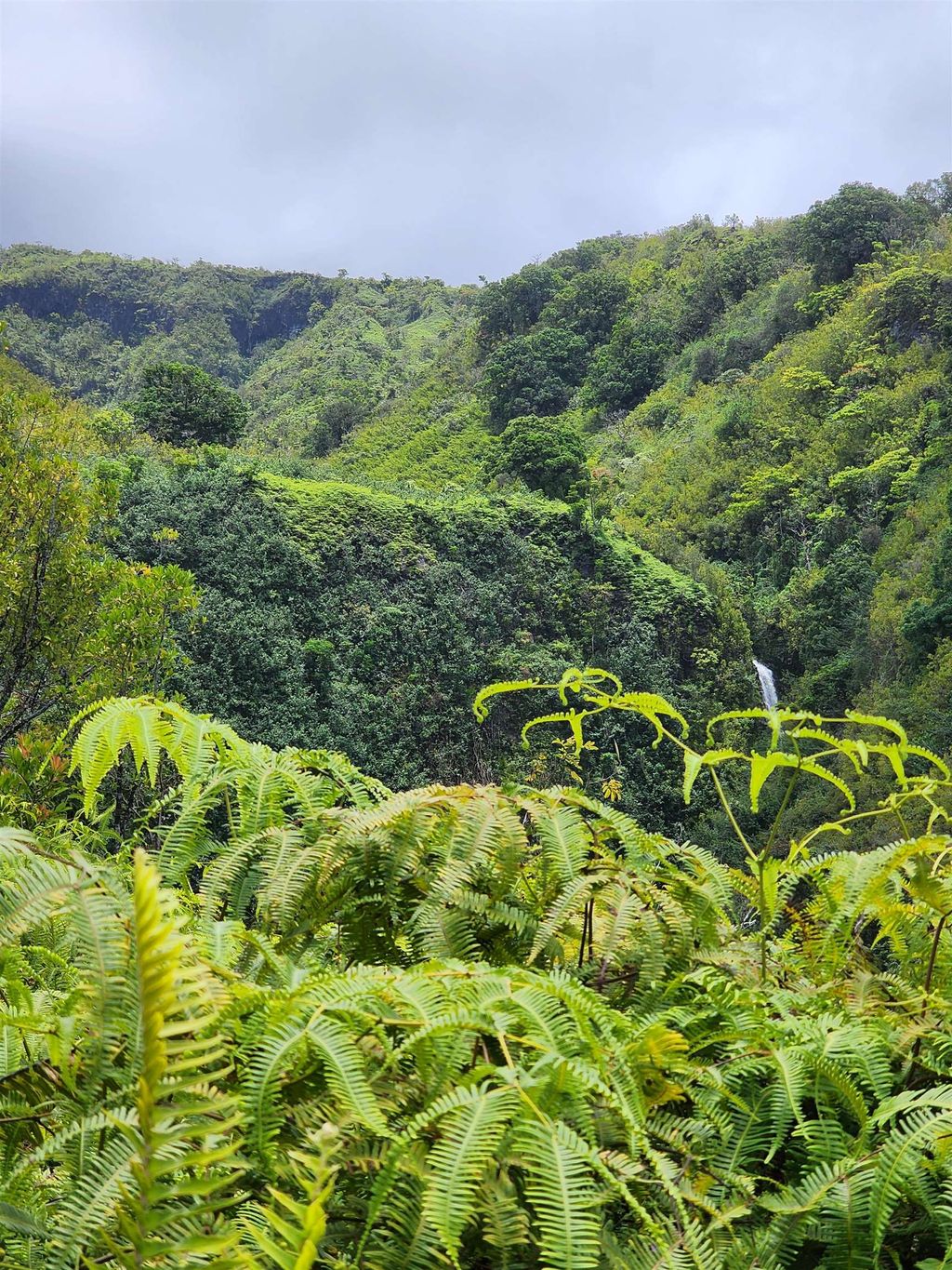Photo of 000 Hana Hwy, Hana, HI 96713 (MLS # 377652)
