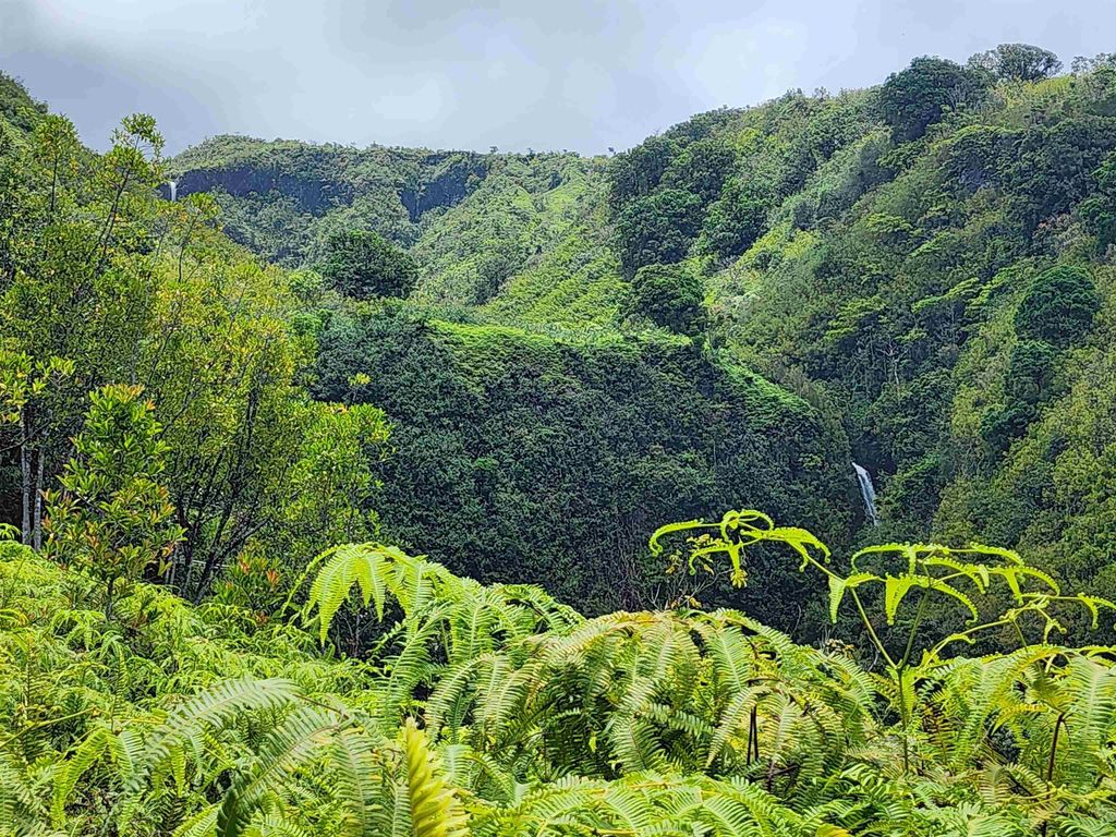 Photo of 000 Hana Hwy, Hana, HI 96713 (MLS # 377652)