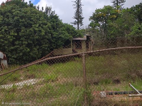 223 Gay Pl Lanai City HI 96763