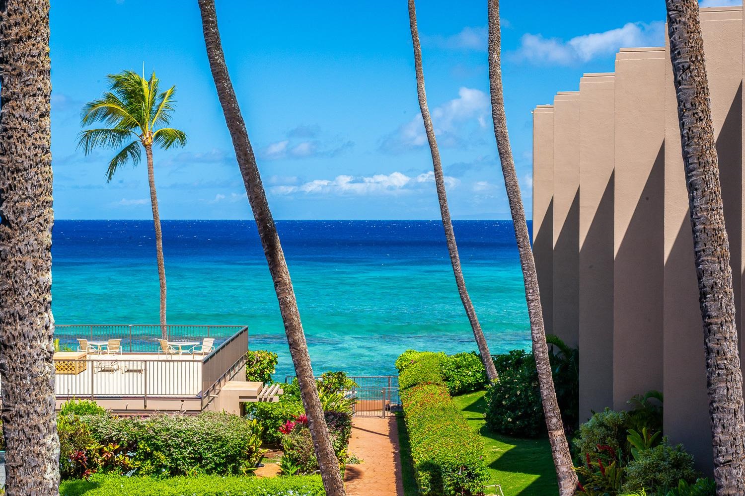 3823 Lower Honoapiilani Rd 310