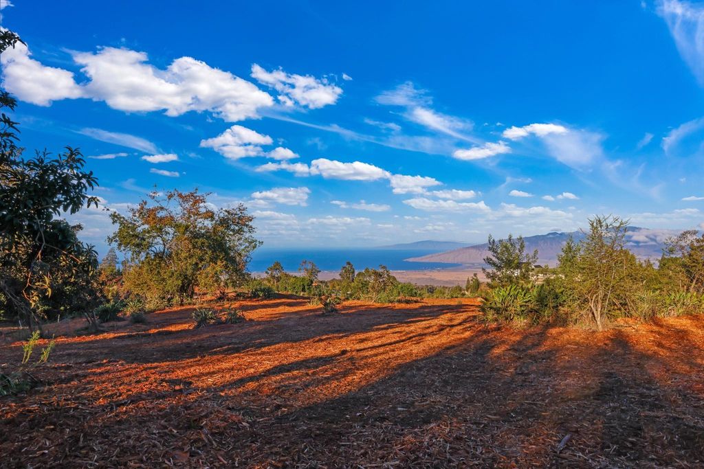 Photo of 0 Haleakala Hwy #1, Kula, HI 96790 (MLS # 407676)