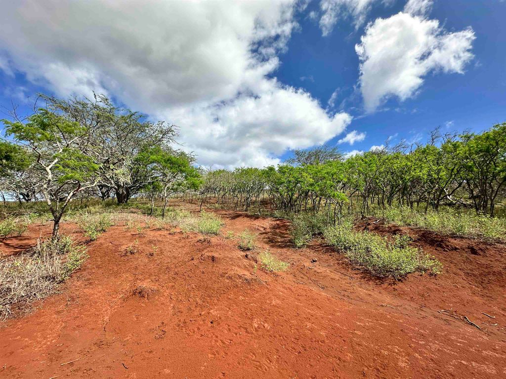 Photo of 0 Kalua Koi Rd #38, Maunaloa, HI 96770 (MLS # 407194)