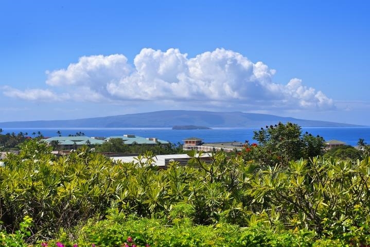 10 Wailea Ekolu Pl 105