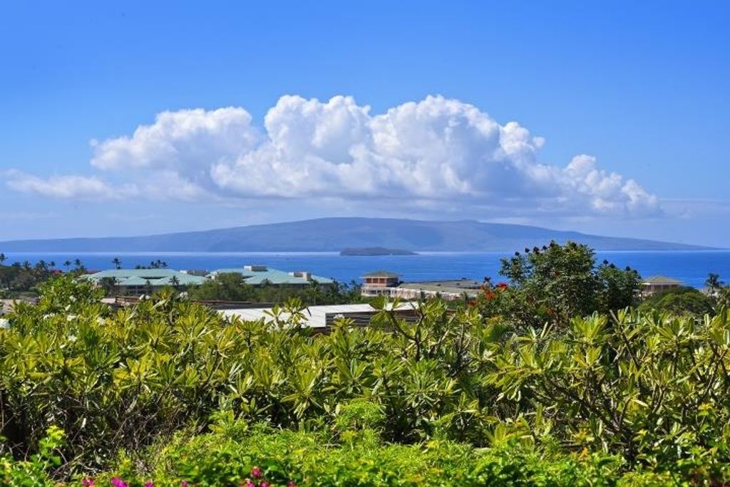 Photo of 10 Wailea Ekolu Pl #105, Kihei, HI 96753 (MLS # 407940)