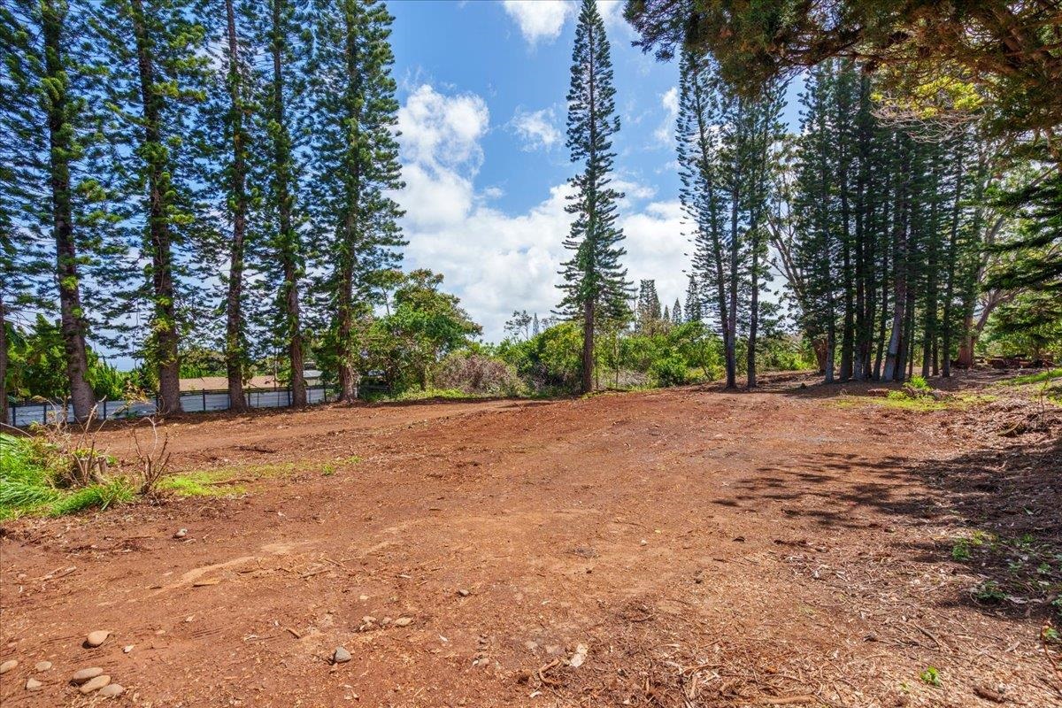 2175 Kauhikoa Rd 7