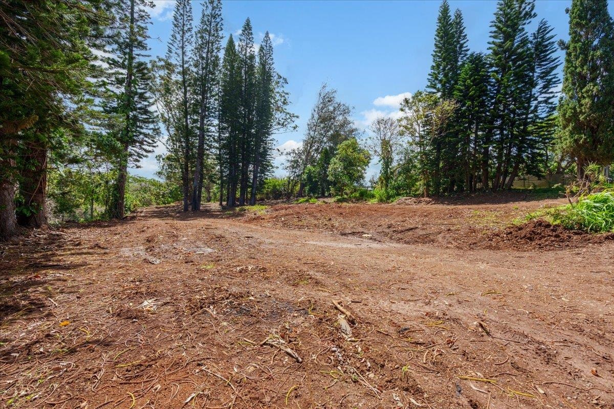 2175 Kauhikoa Rd 7
