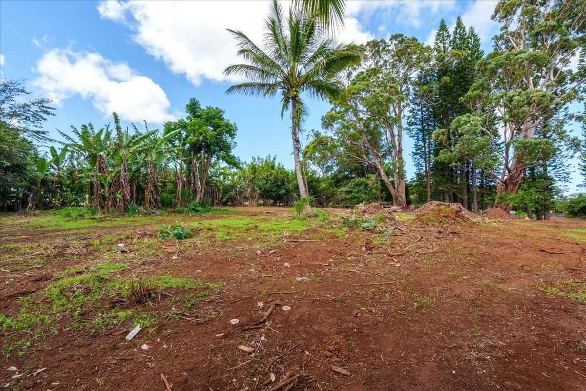 2175 Kauhikoa Rd 7
