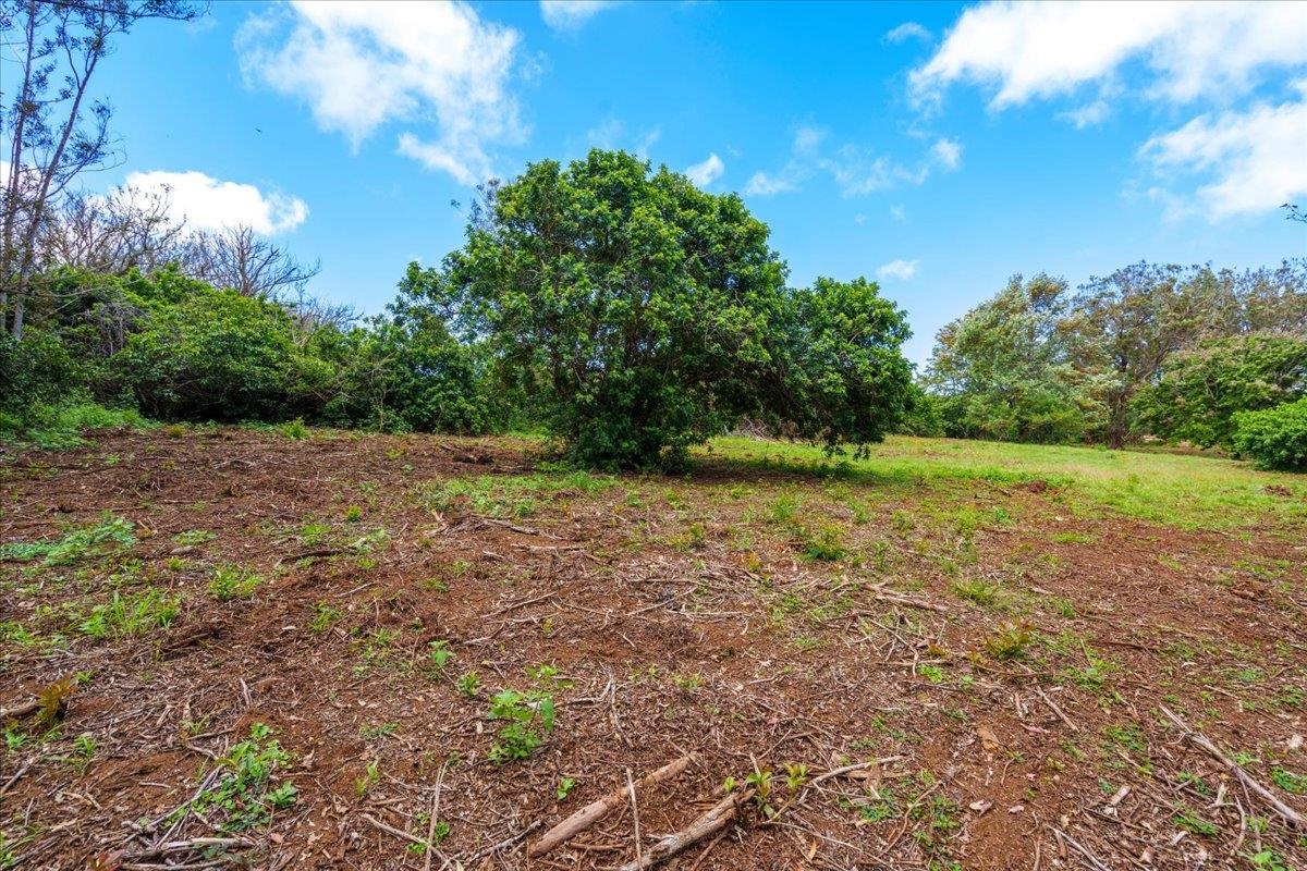 2175 Kauhikoa Rd 7