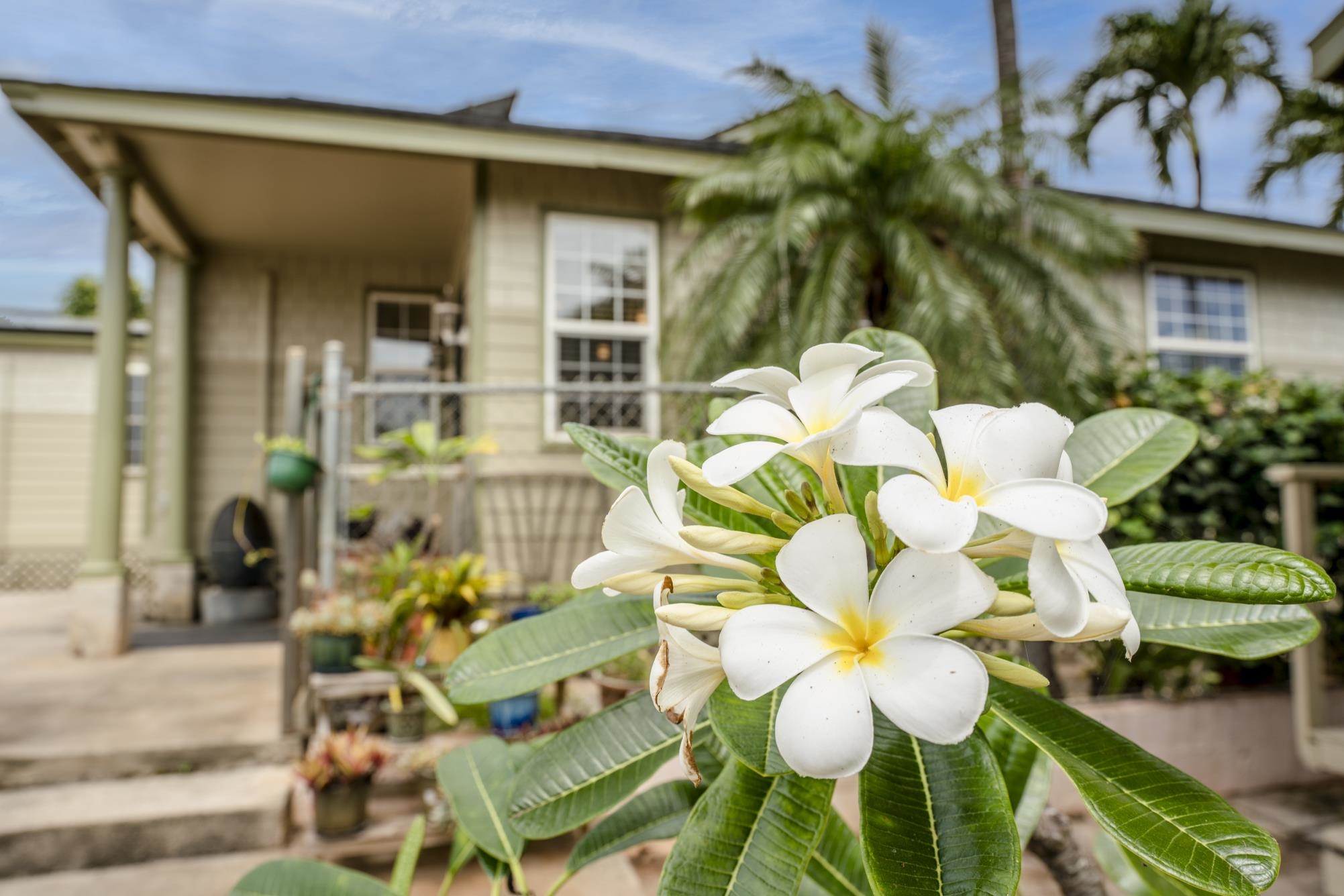 73A Maluhia Dr