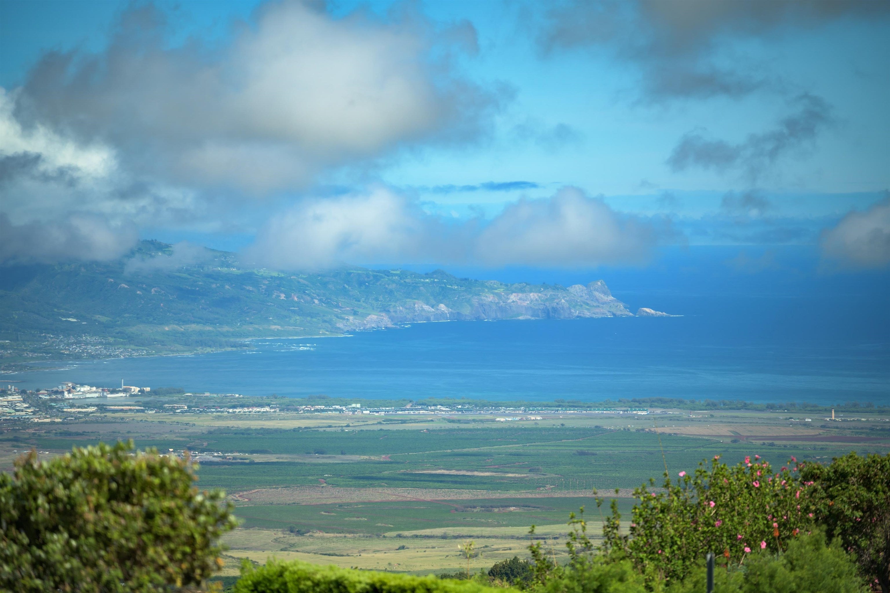 50 Kaalele Pl