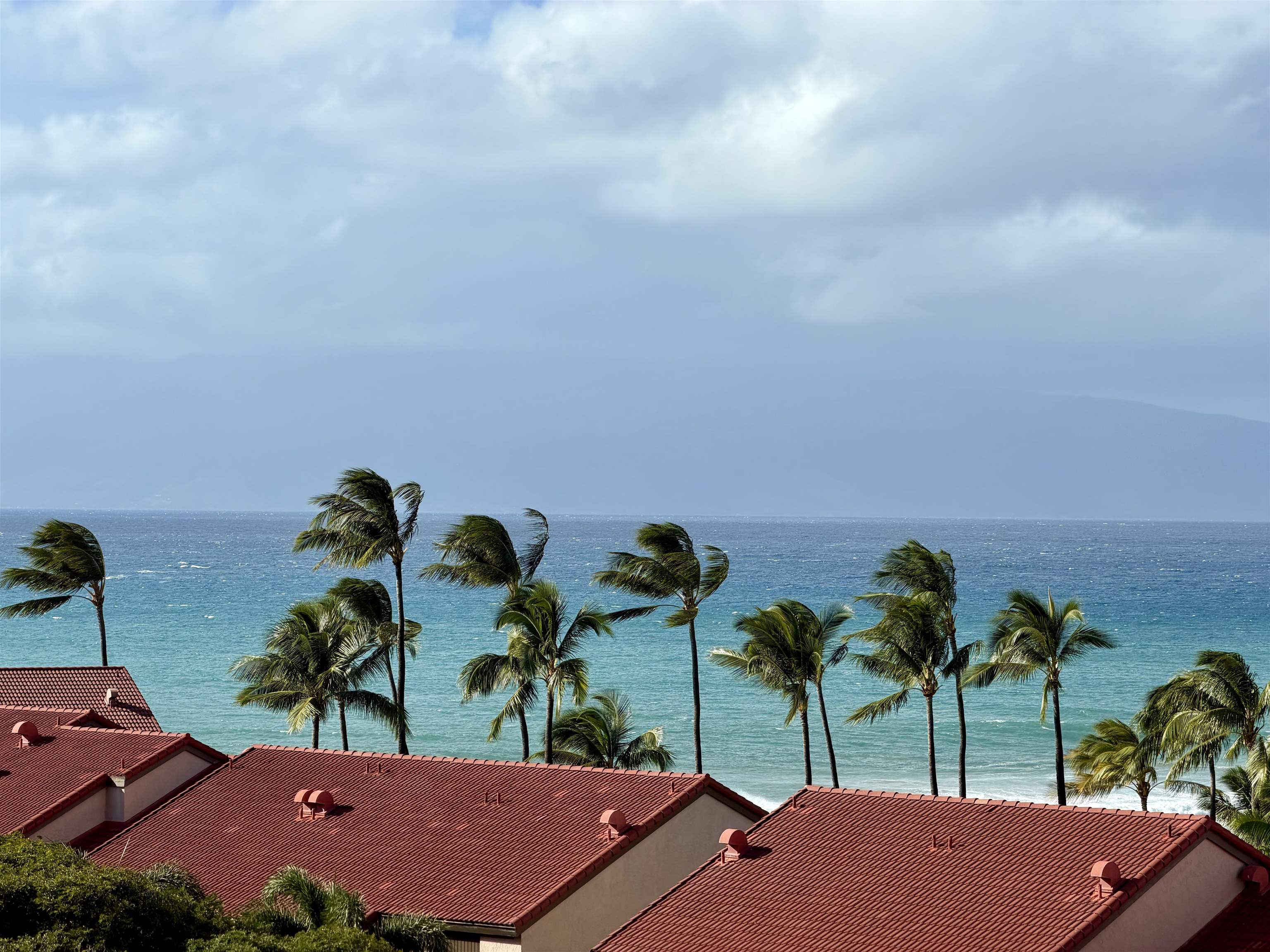 3445 Lower Honoapiilani Rd 834