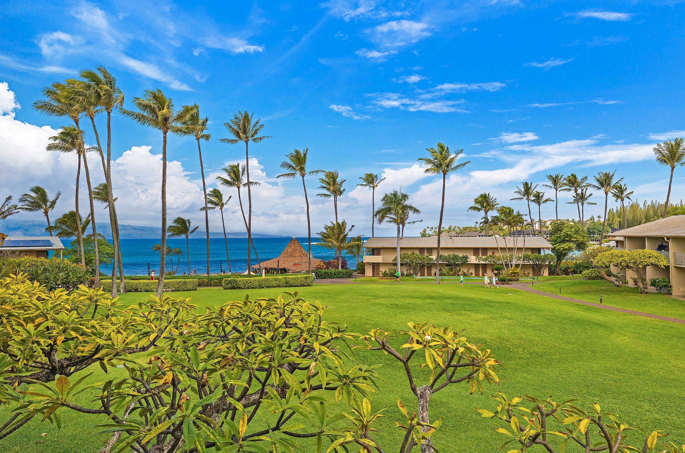 5315 Lower Honoapiilani Rd G253