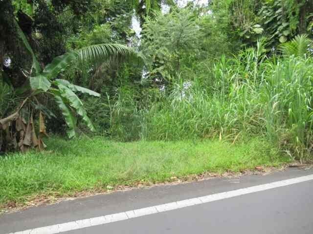 Hana Hwy