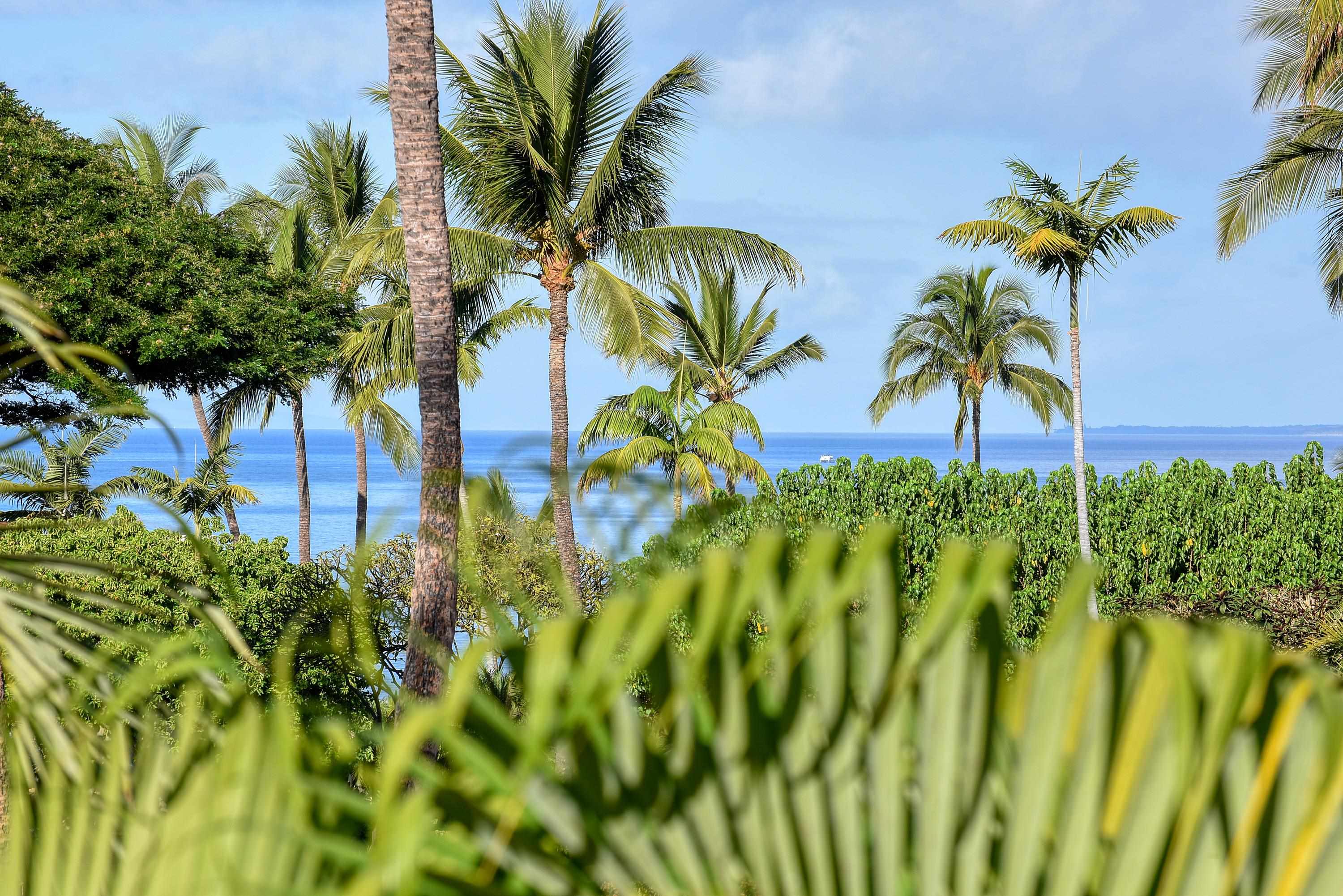 2777 S Kihei Rd C208