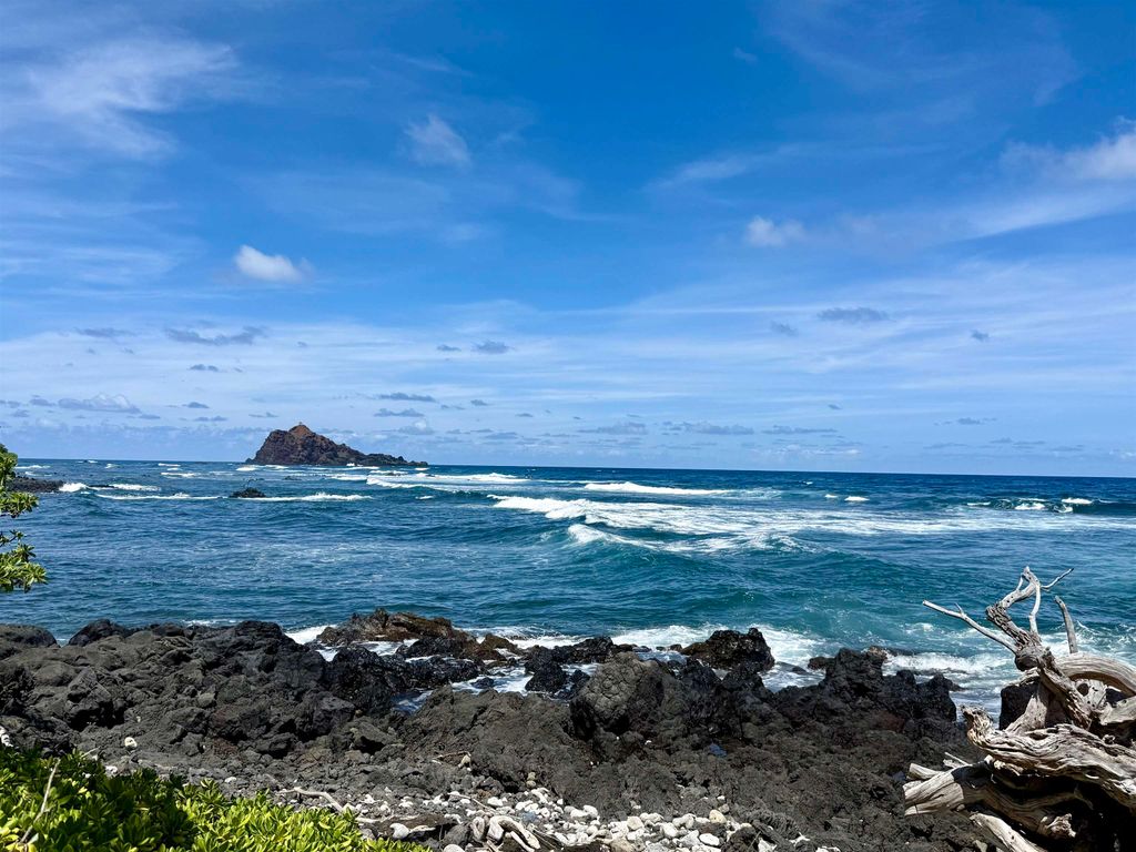 Photo of 495 Haneoo Rd, Hana, HI 96713 (MLS # 406997)