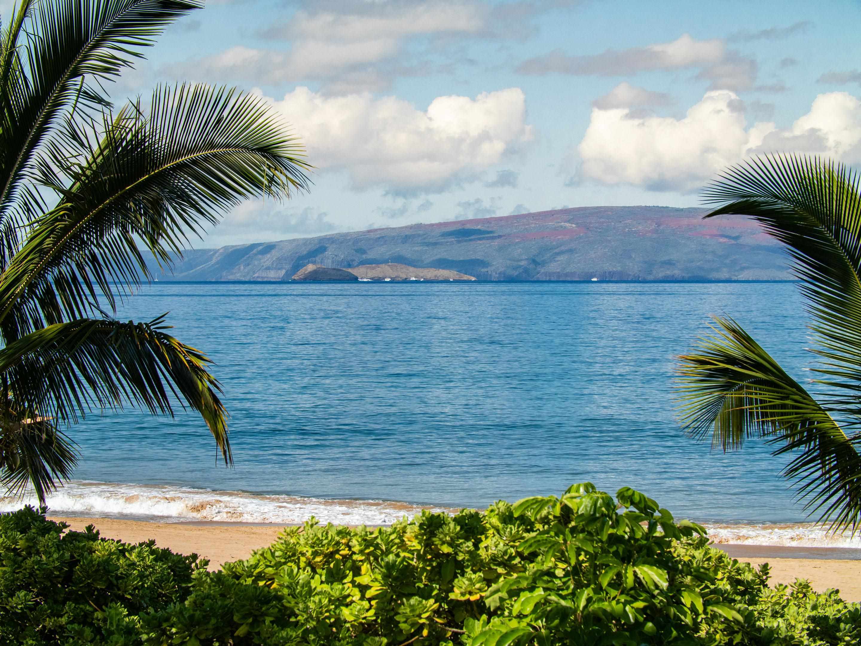3146 S Kihei Rd