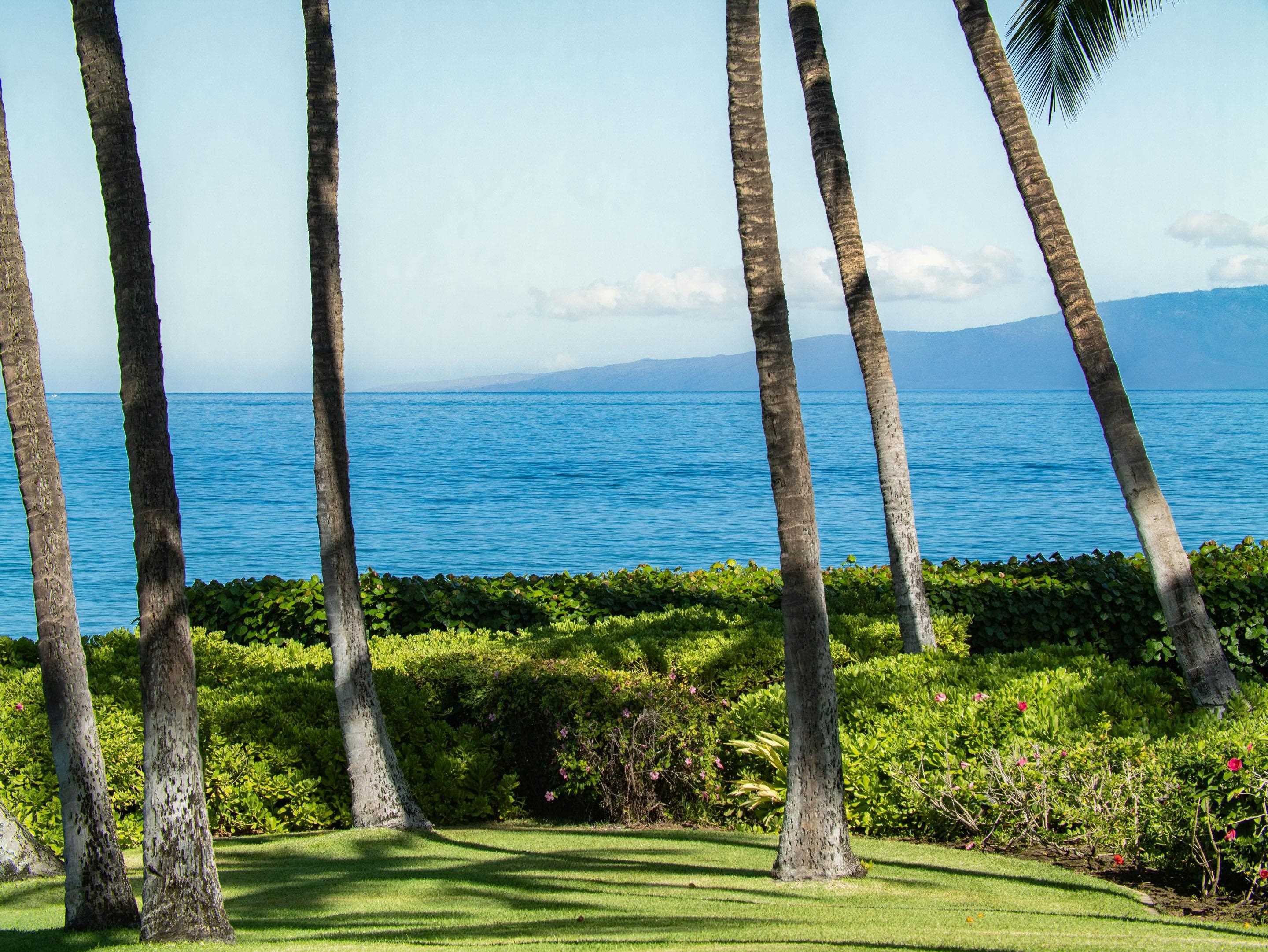 3146 S Kihei Rd