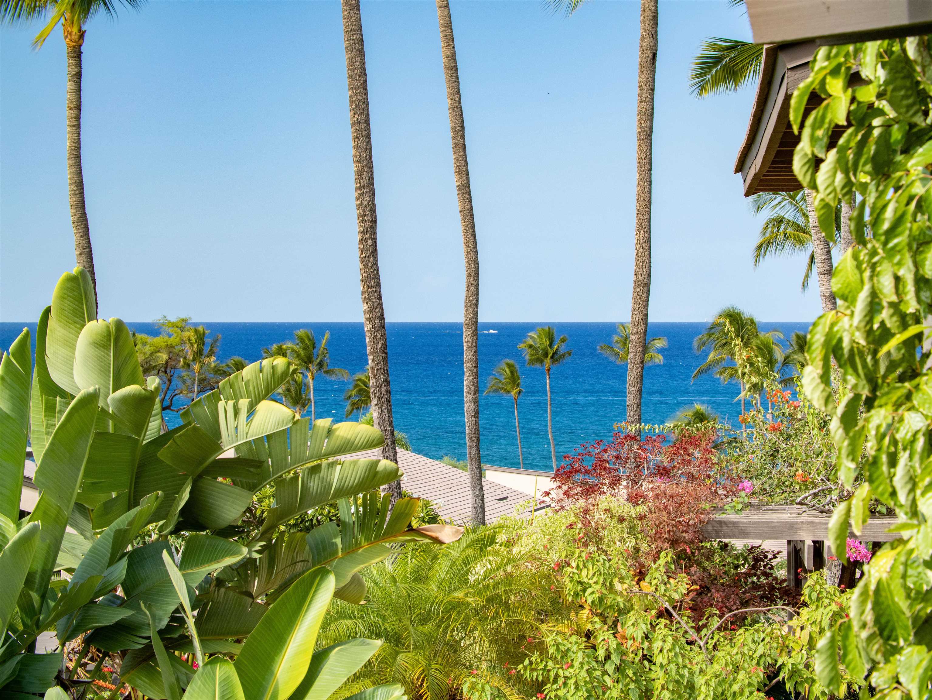 3300 Wailea Alanui Dr 13C