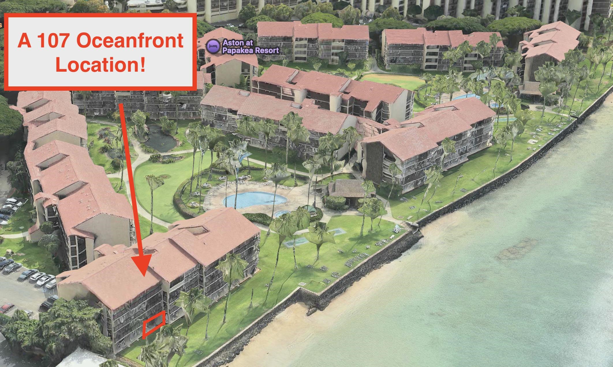 3543 Lower Honoapiilani Rd A107