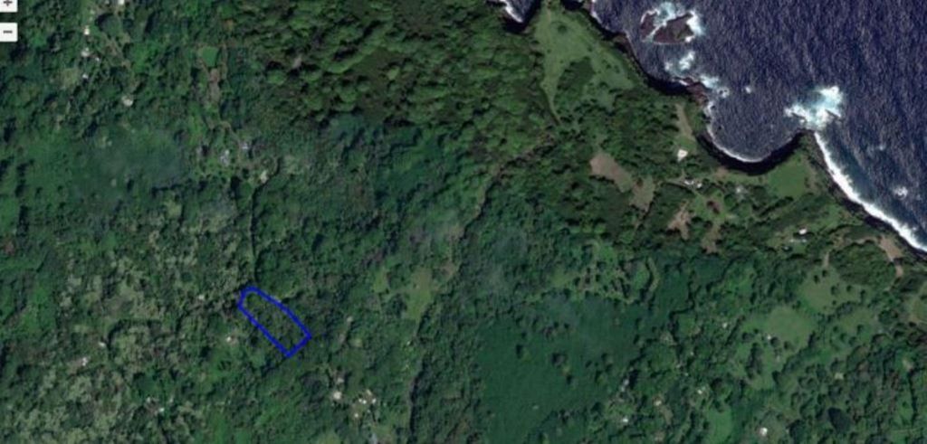 Photo of 772 Nahiku Rd, Hana, HI 96713 (MLS # 404294)