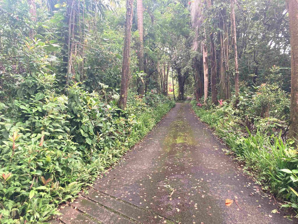 Photo of 772 Nahiku Rd, Hana, HI 96713 (MLS # 404294)