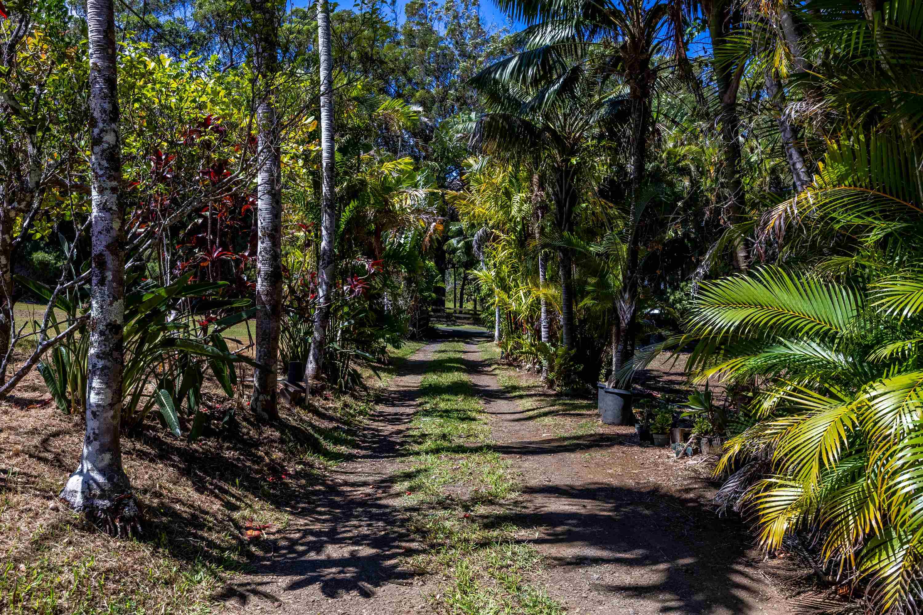 81 Kapuai Rd