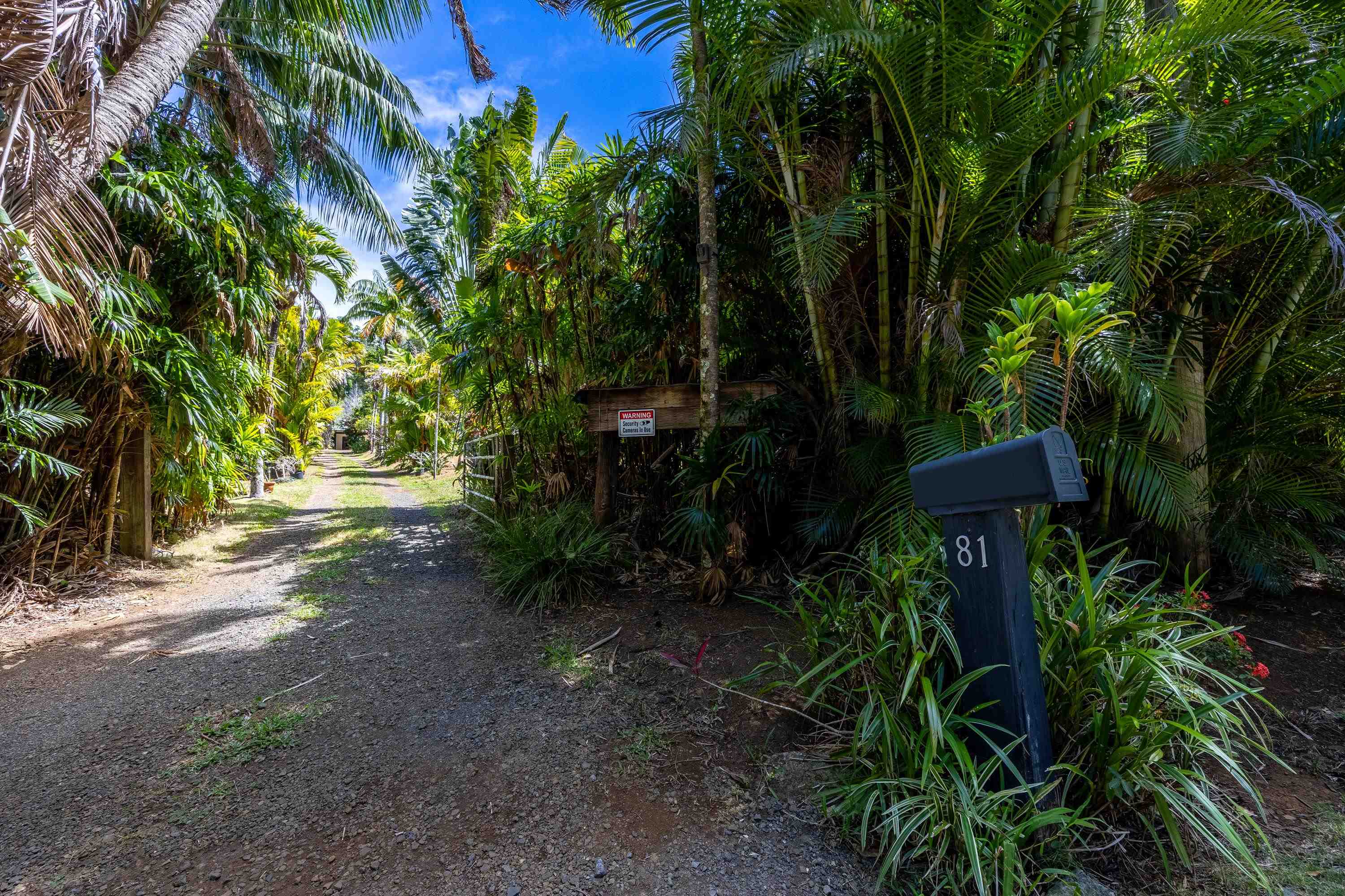 81 Kapuai Rd