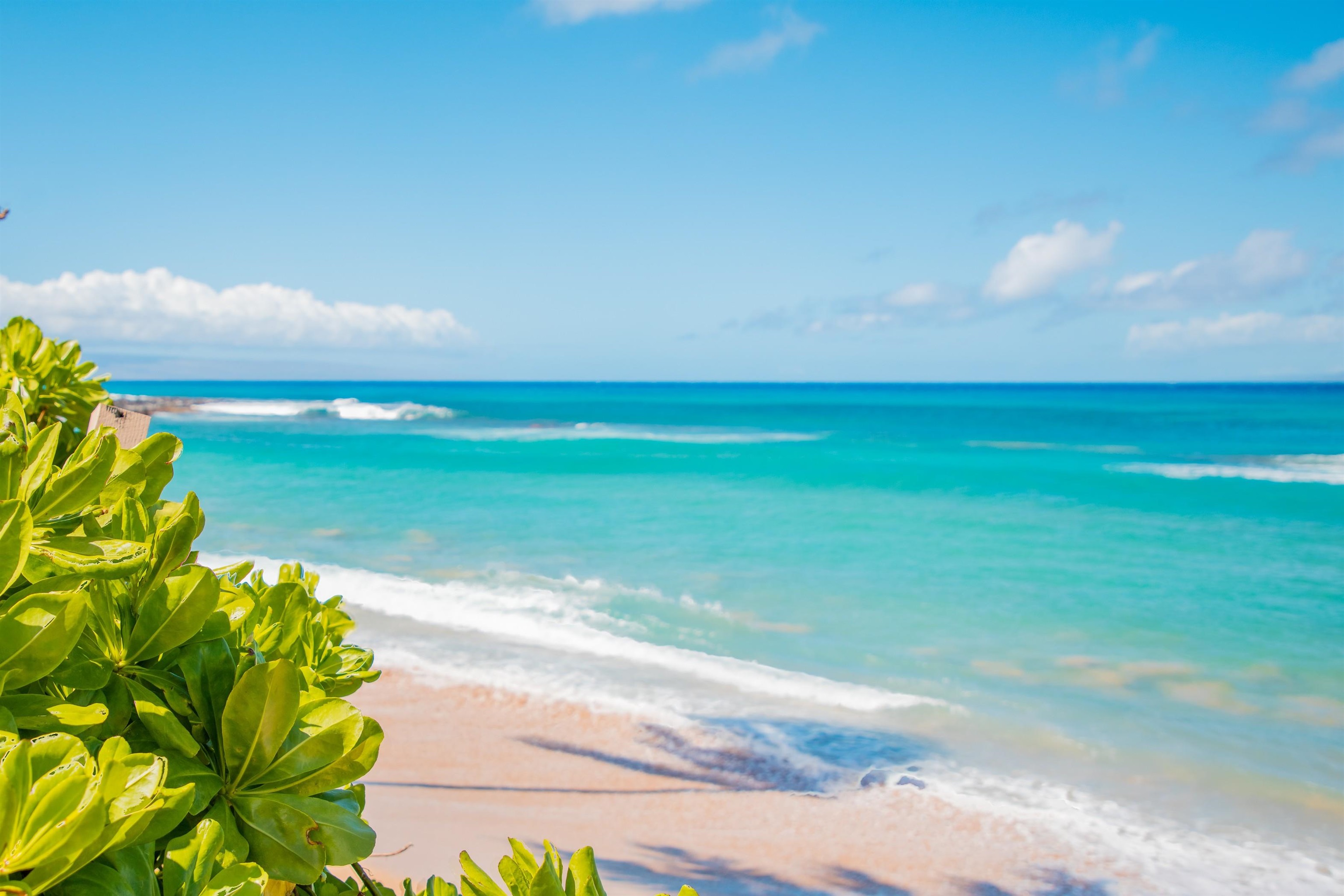 4310 Lower Honoapiilani Rd 302