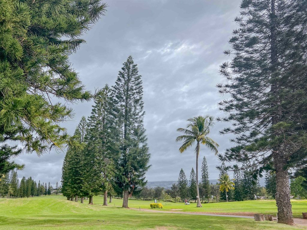 Photo of 2740 Liholani St #3, Makawao, HI 96768 (MLS # 404950)