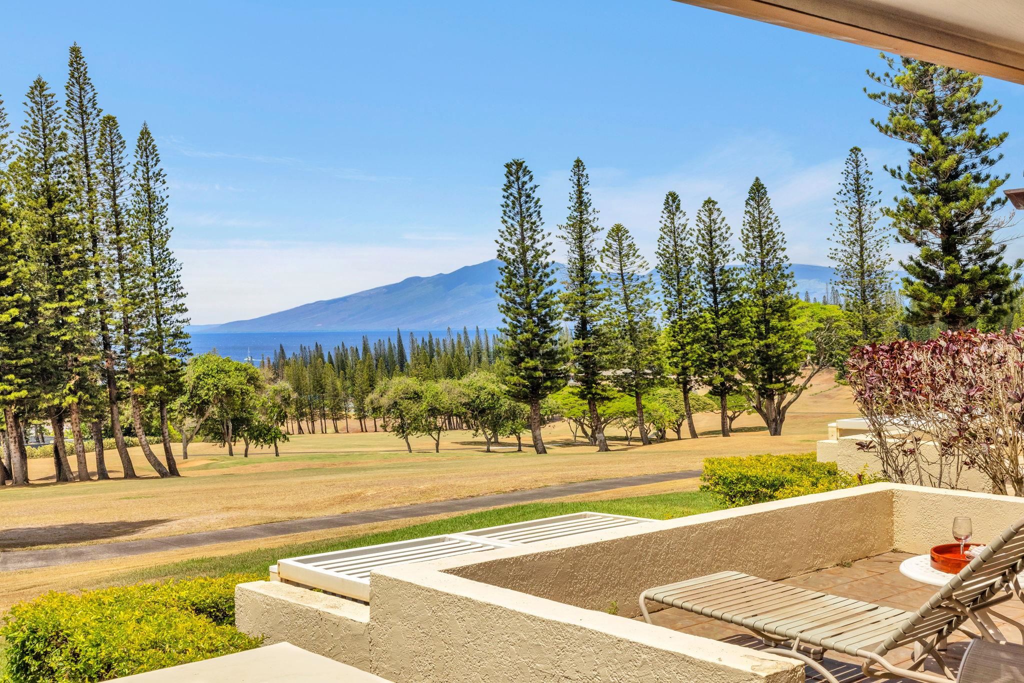 500 Kapalua Dr 27P3-4