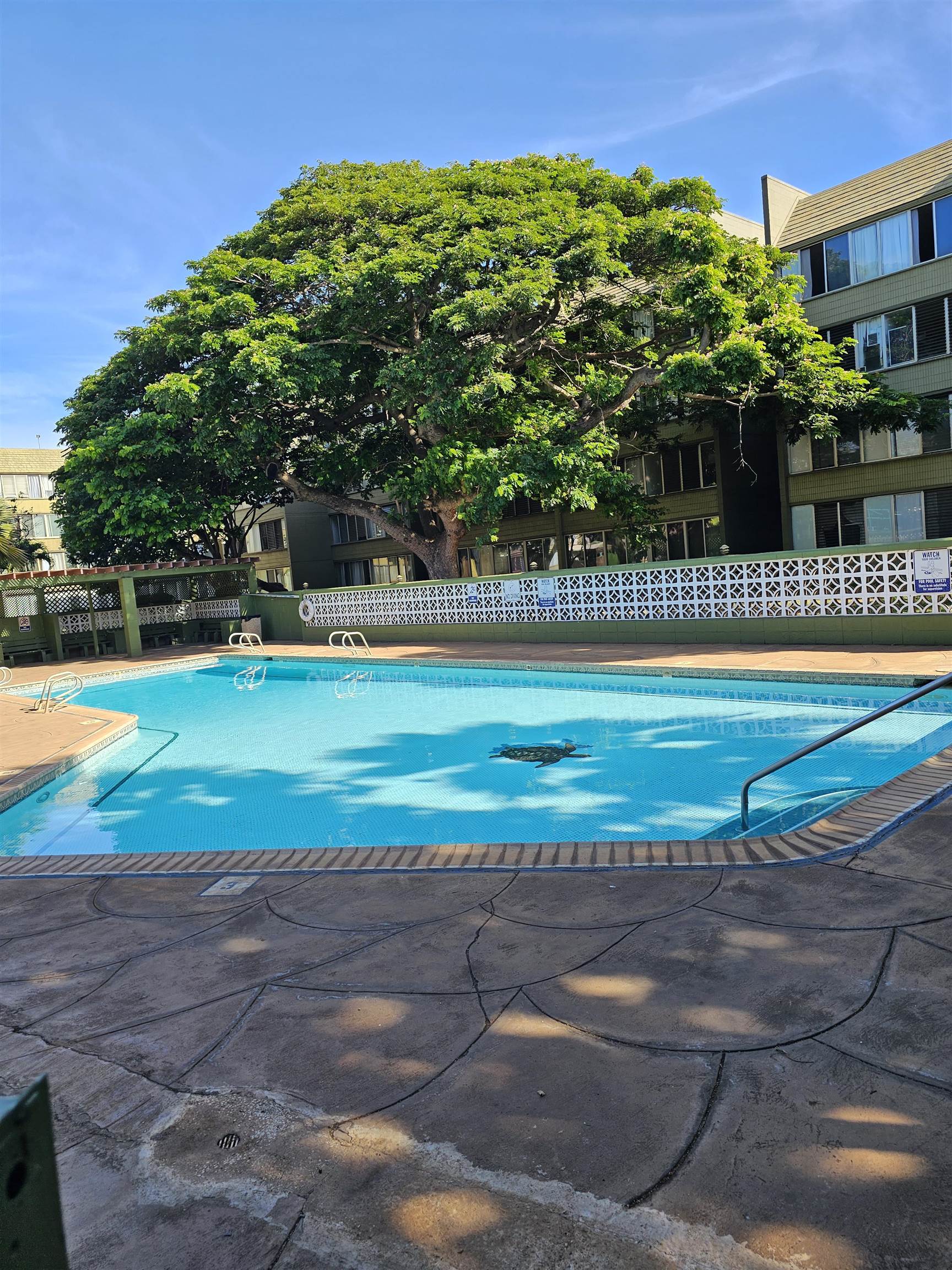 111 Kahului Beach Rd D 412