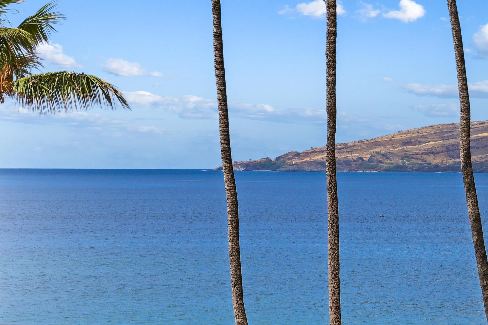 145 N Kihei Rd 406
