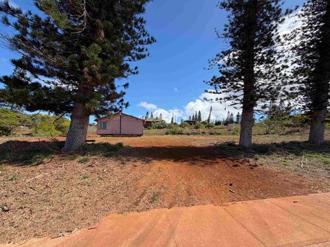 Tiny photo for Puumalu St #Lot 439, Maunaloa, HI 96770 (MLS # 407330)