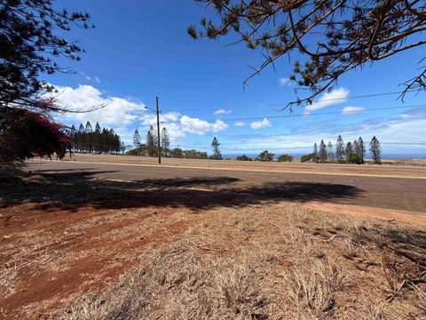 Photo of Puumalu St #Lot 439, Maunaloa, HI 96770 (MLS # 407330)