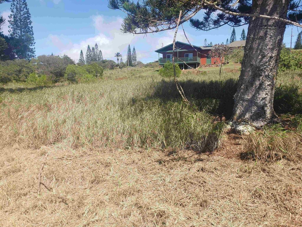 Photo of Puumalu St #Lot 439, Maunaloa, HI 96770 (MLS # 407330)