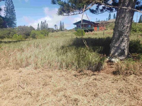 Tiny photo for Puumalu St #Lot 439, Maunaloa, HI 96770 (MLS # 407330)